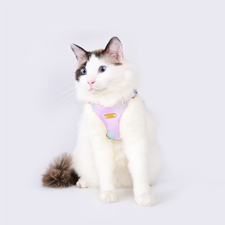 Buntes Leder-Geschirr für Katzen – Bild 11 | LuxeStyle