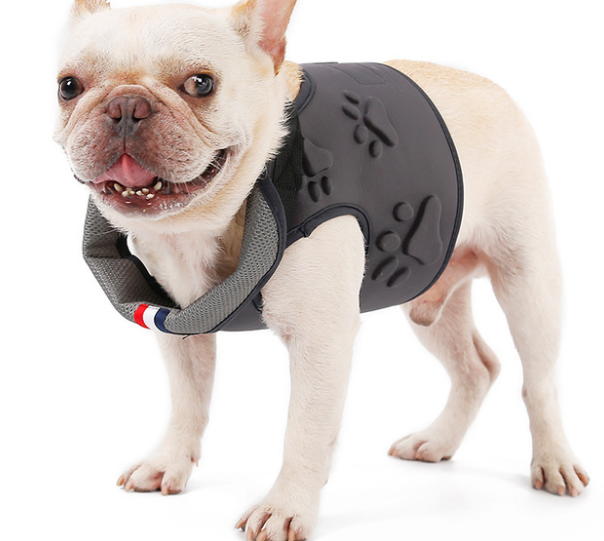 Hundegeschirr mit Pfoten-Design – Bild 3 | LuxeStyle