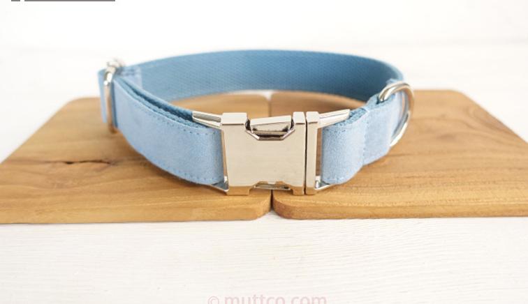 Hundeleine-Set – Polyester, hellblau – Bild 4 | LuxeStyle