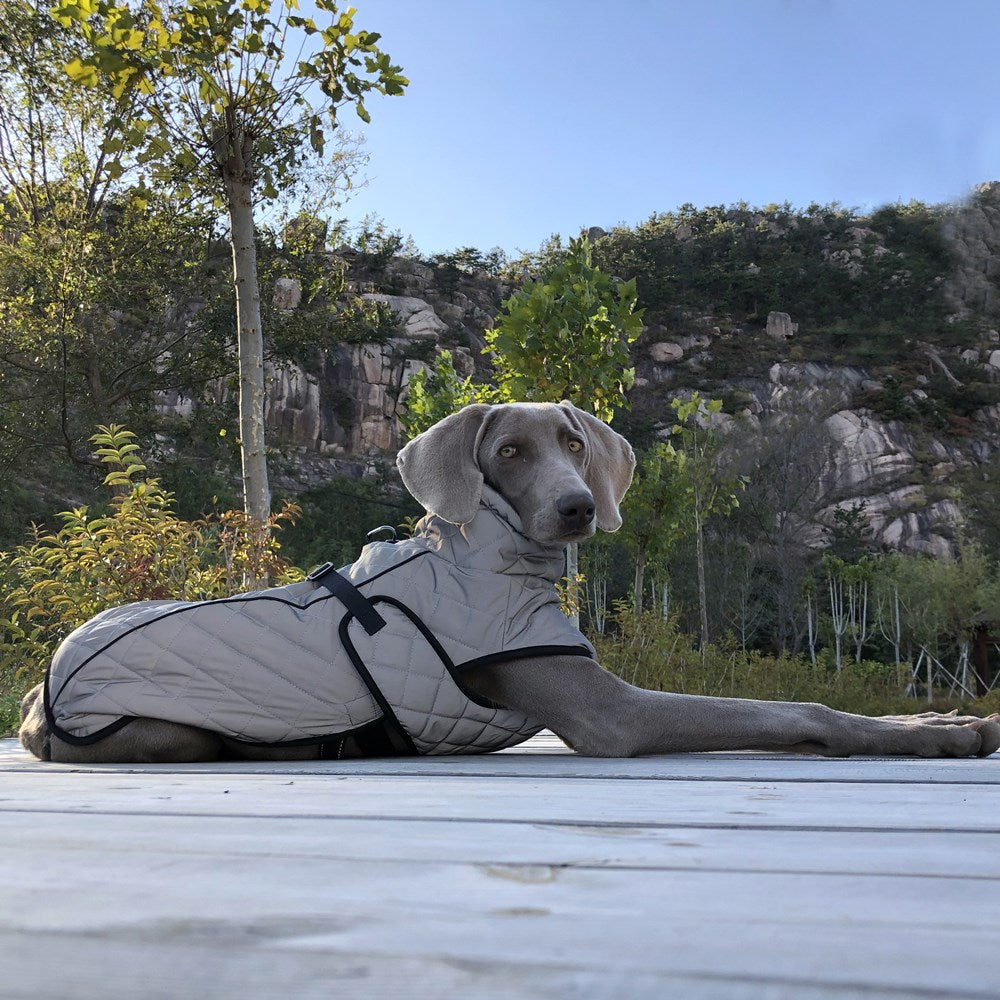 Reflektierende Taktikjacke für Hunde