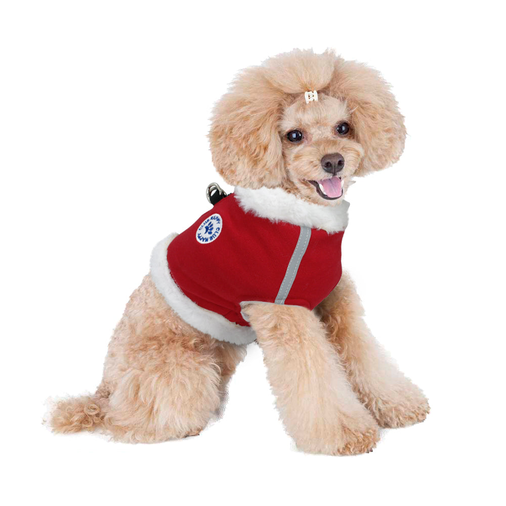 Hundekörperband Winter mit Kaschmir-Ästhetik | LuxeStyle