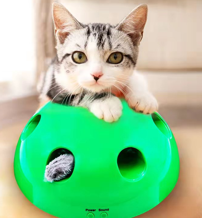 Interaktives Katzenspielzeug mit Krallenschärfer – Bild 10 | LuxeStyle