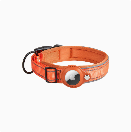 Reflektierendes Nylon-Halsband, verstellbar
