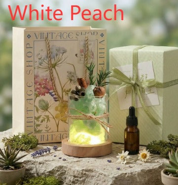 Aromatherapie-Set mit Diffusor-Steinen