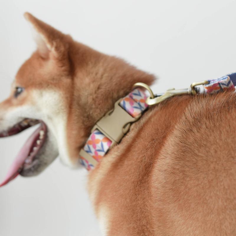 Hundehalsband mit Leine für das Training | LuxeStyle