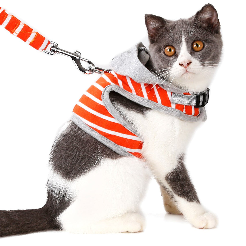 Katzenhalsband mit Kapuzenvest – 2 Grössen | LuxeStyle