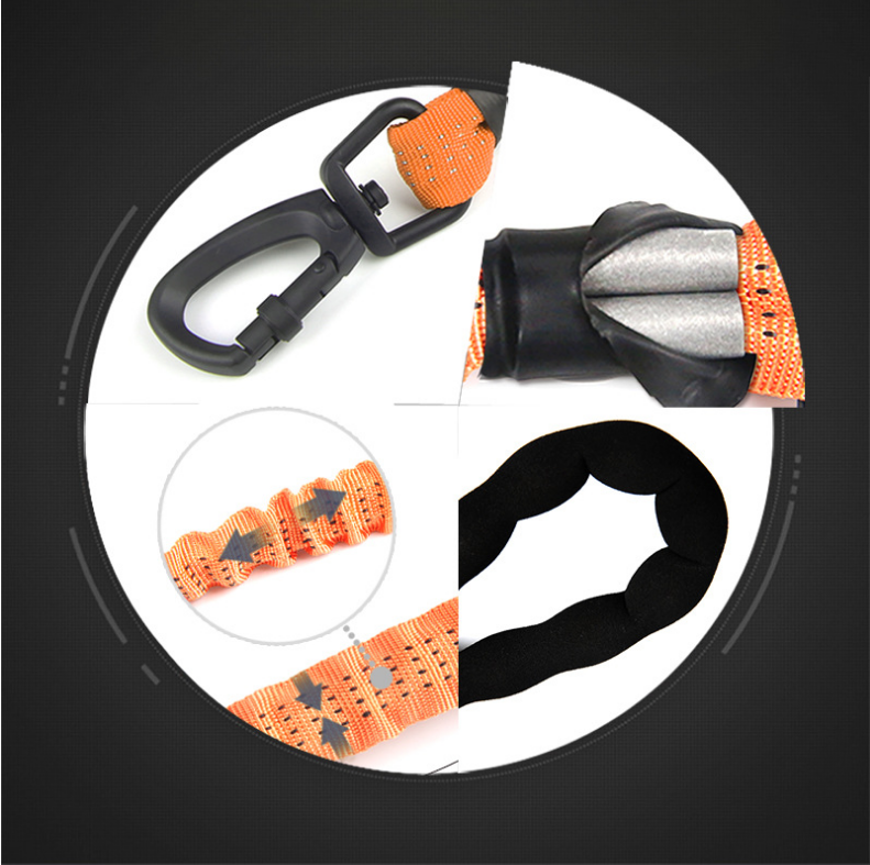 Elastische Hunde-Leine mit Ruckdämpfer – Bild 10 | LuxeStyle