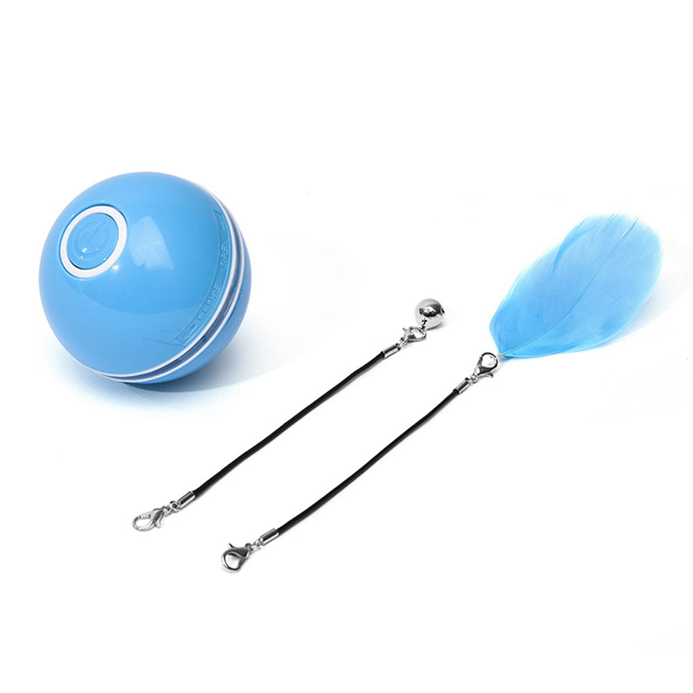 Farbiges Katzenspiel mit LED-Licht – Bild 12 | LuxeStyle