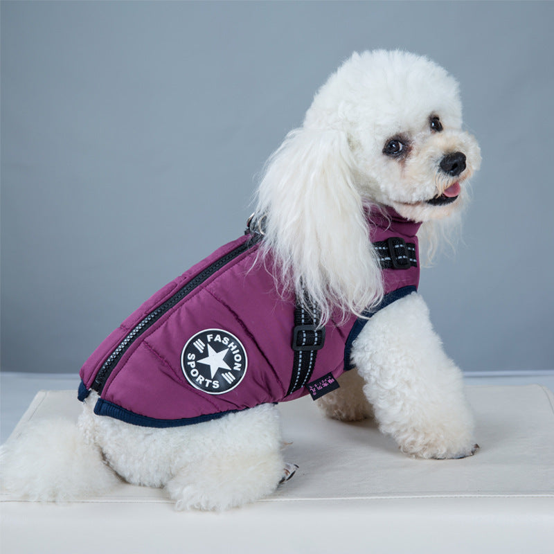 Gepolsterte Baumwollweste für Hunde – Bild 8 | LuxeStyle