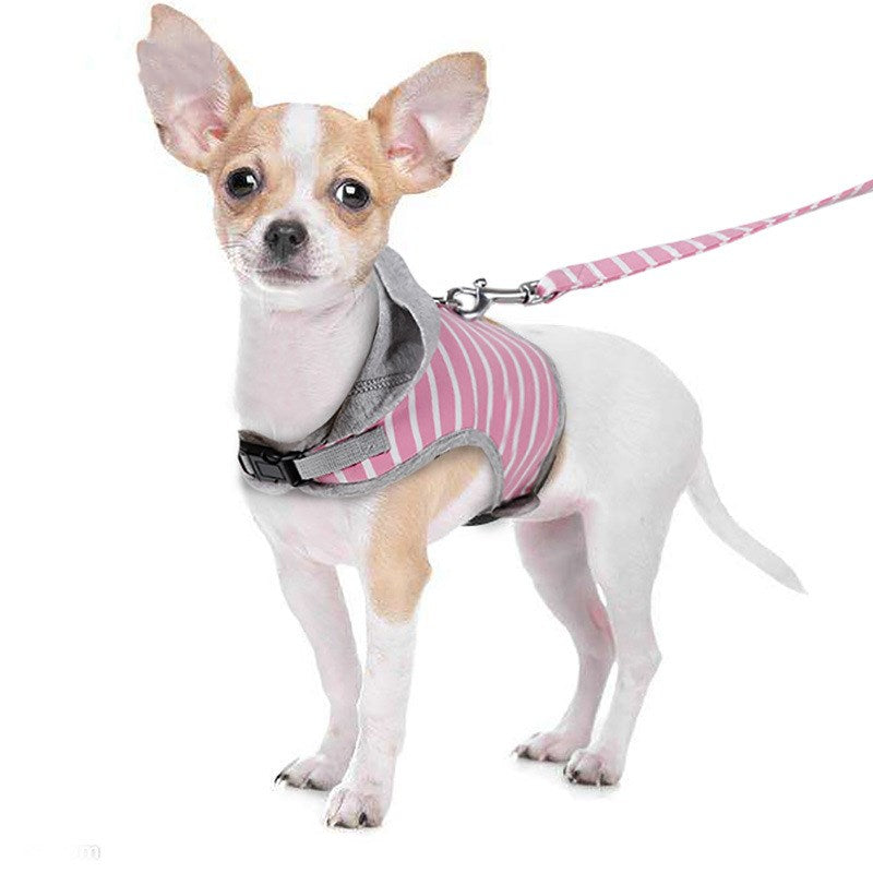 Katzenhalsband mit Kapuzenvest – 2 Grössen – Bild 4 | LuxeStyle