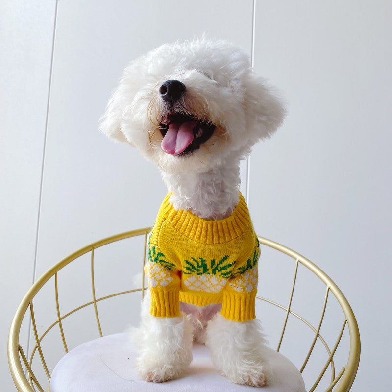 Haustierkleidung mit Ananas-Print – Bild 3 | LuxeStyle