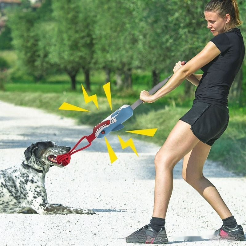 Interaktives Zerrspielzeug für Hunde