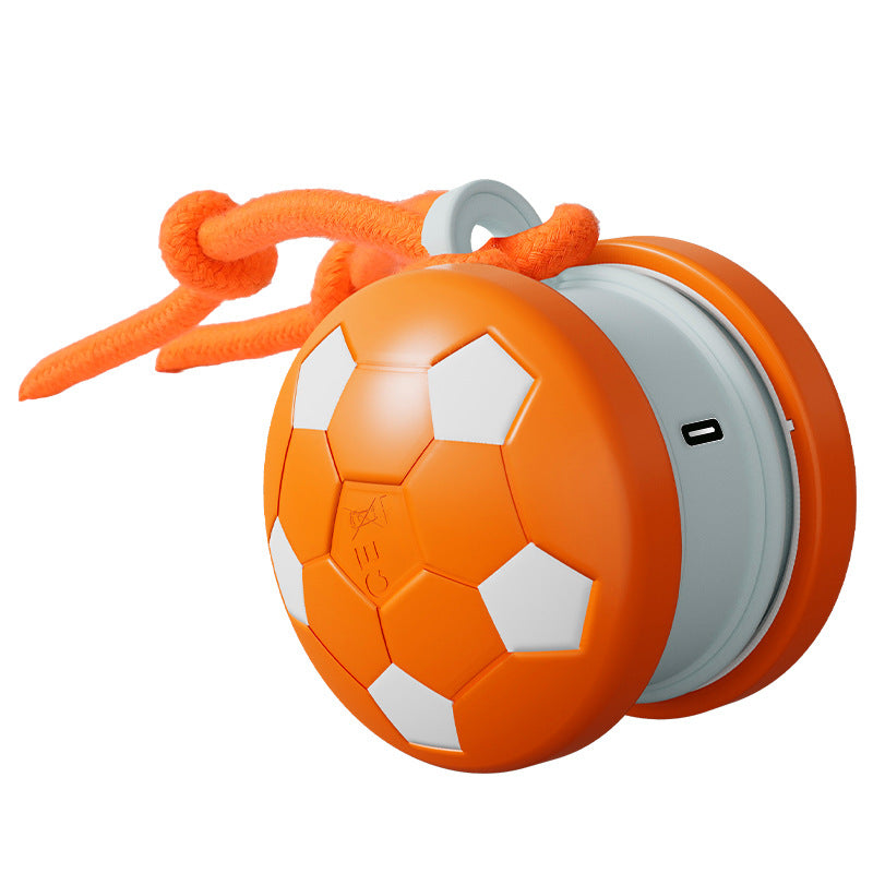 Smart Pet Teasing Ball für Katze & Hund