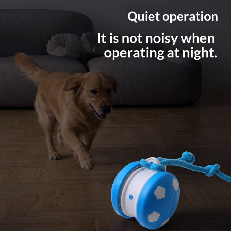 Smart Pet Teasing Ball für Katze & Hund