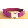 Hundeleine mit Zugband und Schleife | LuxeStyle