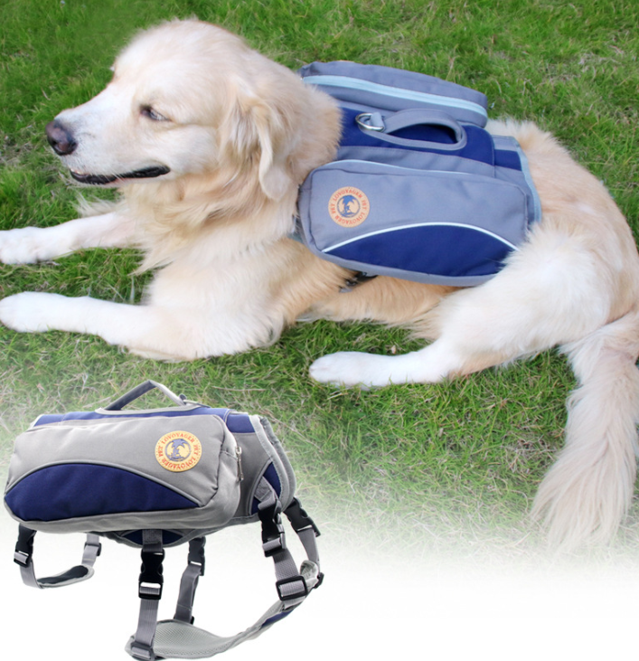 Hunde-Rucksack für unterwegs – Bild 2 | LuxeStyle