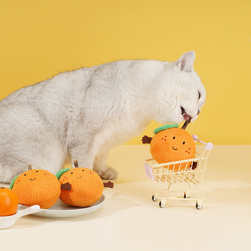 Polygonum Multiflorum Beissspielzeug für Katzen