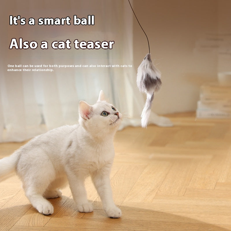 Maus Teaser Ball für Haustiere