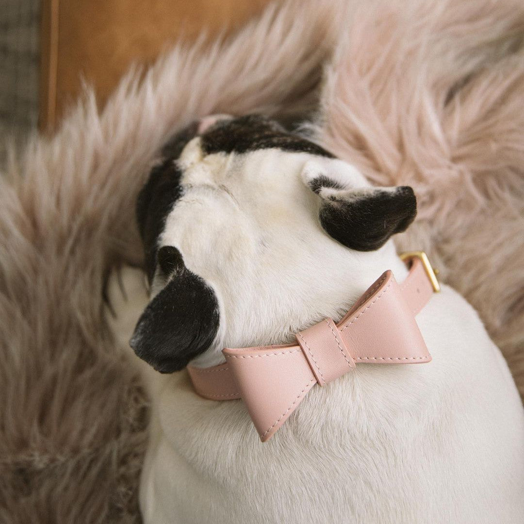 Halsband- und Leinen-Set mit Schleife – Bild 3 | LuxeStyle