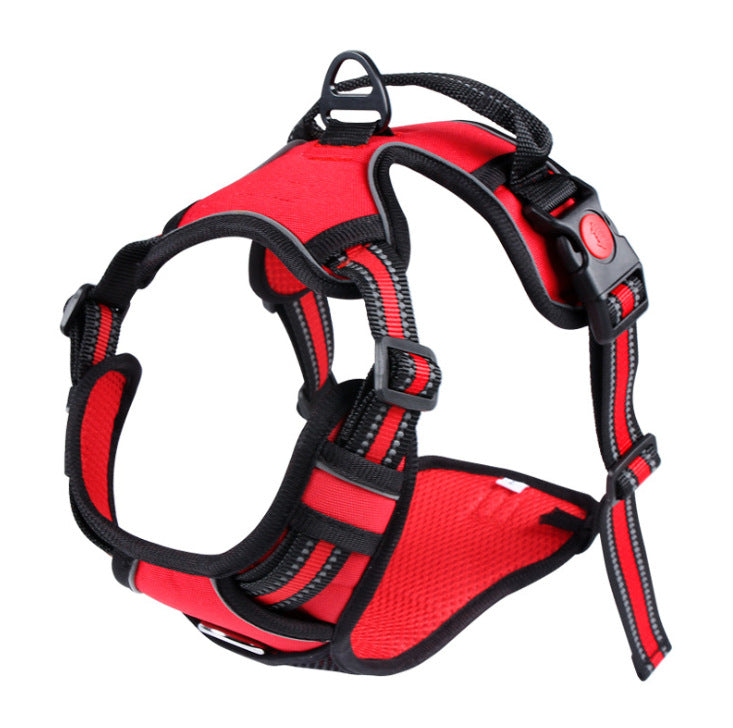 Sichere Hundeleine mit Reflektor