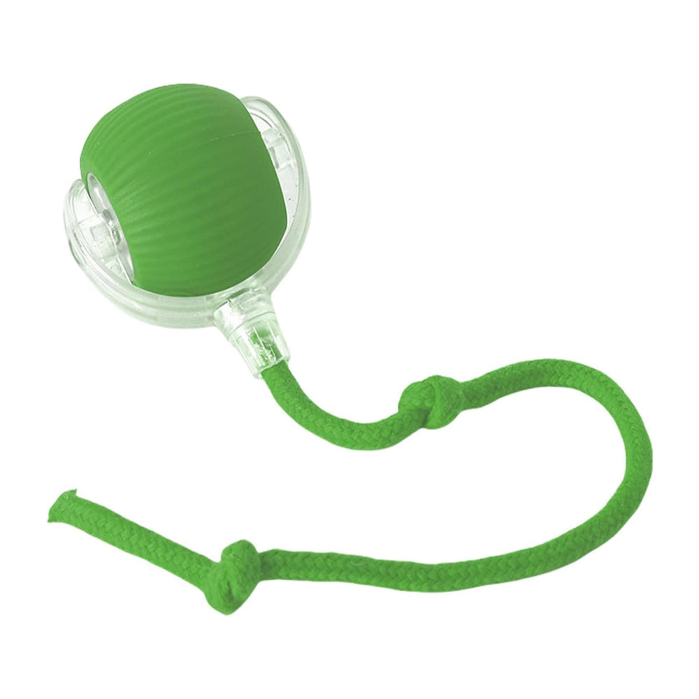 Interaktiver Rollball für Haustiere
