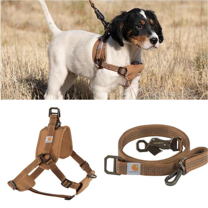 Hunde-Brustgeschirr mit Trainingsleine – Bild 2 | LuxeStyle
