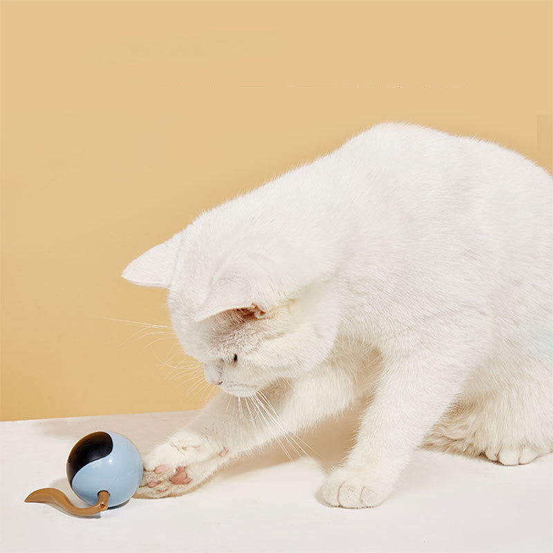 FOS Magic Ball Pet Elektrisches Katzenspielzeug