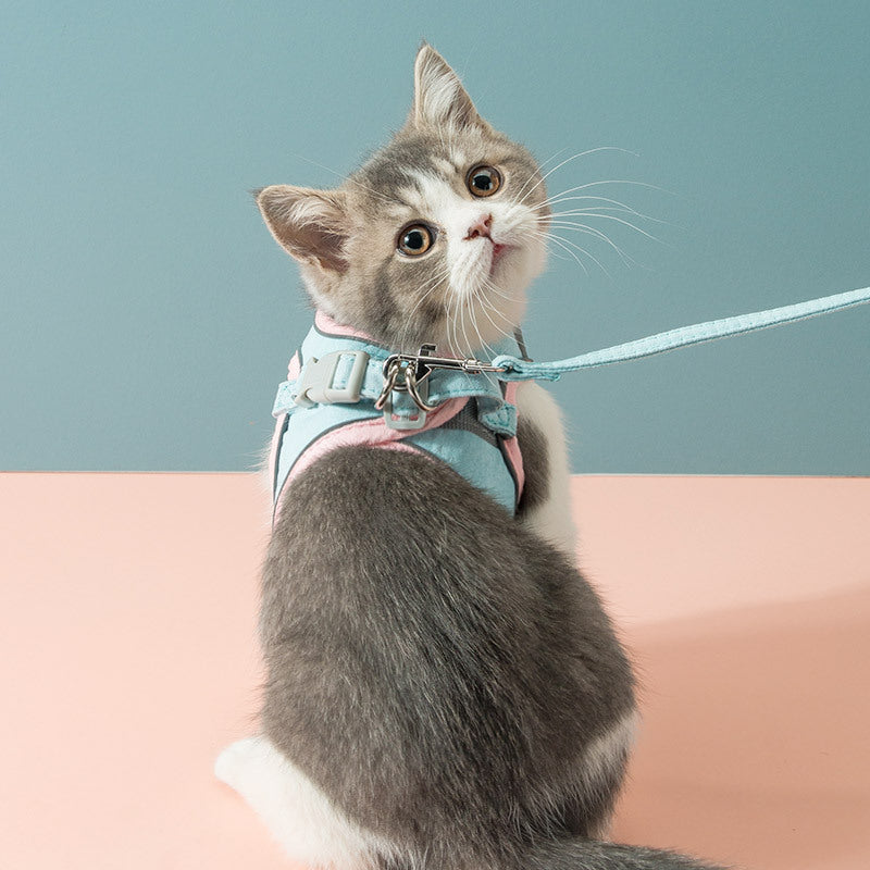 Reflektierendes Katzengeschirr mit Zugseil – Bild 2 | LuxeStyle