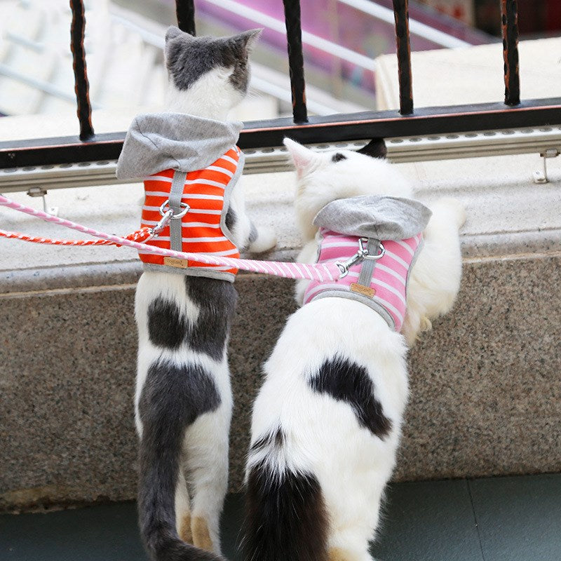 Katzenhalsband mit Kapuzenvest – 2 Grössen – Bild 7 | LuxeStyle