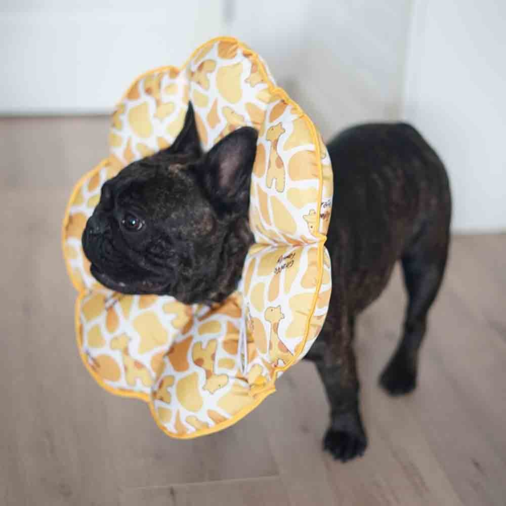 Schutz-Headcover für Hunde – Bild 3 | LuxeStyle