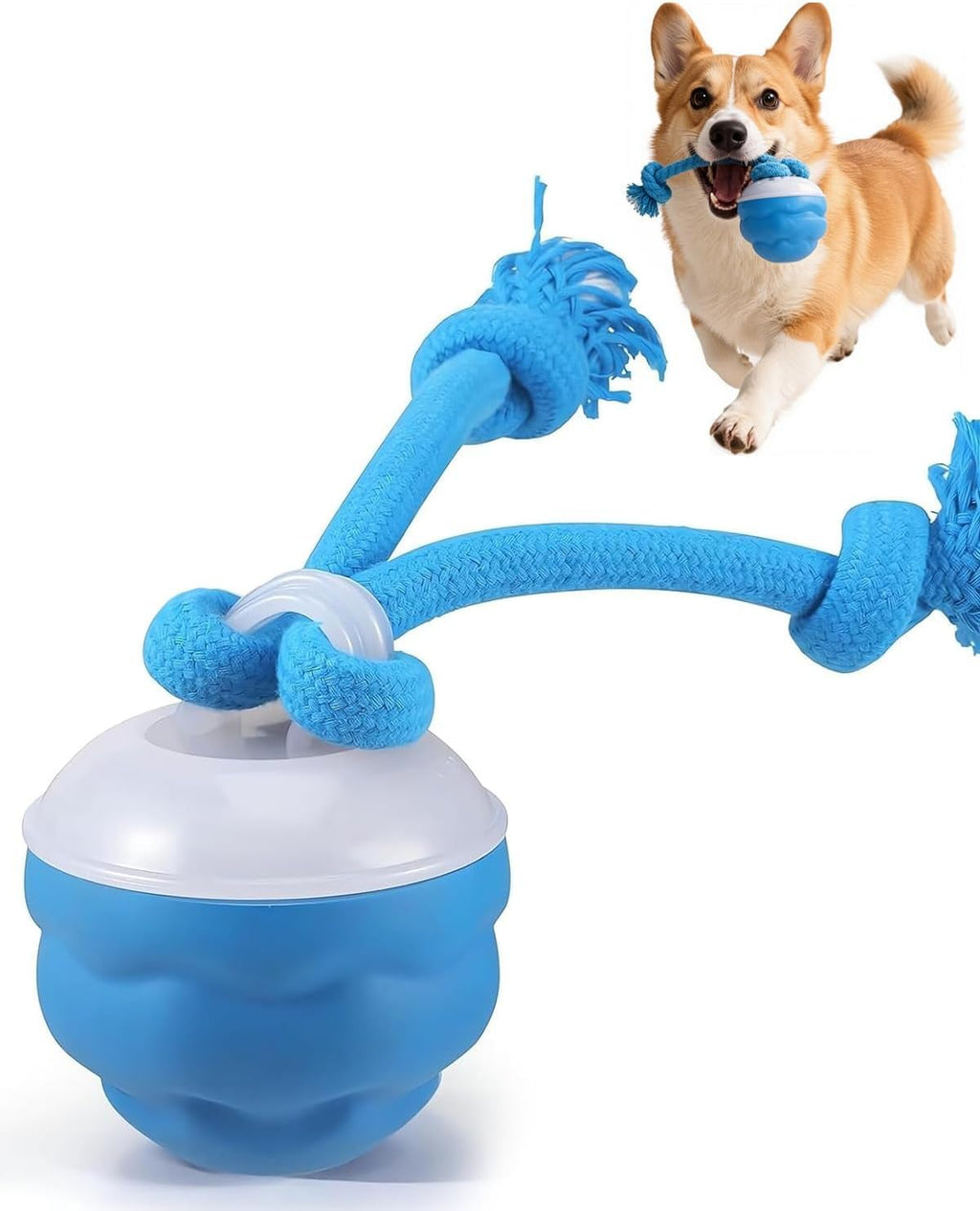 Interaktiver Hunde-Spielball mit Seil