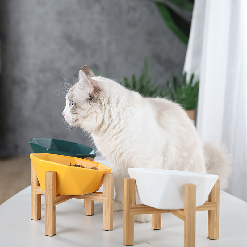 Keramische Katzenmahlzeit-Schüssel mit hohem Rand – Bild 3 | LuxeStyle