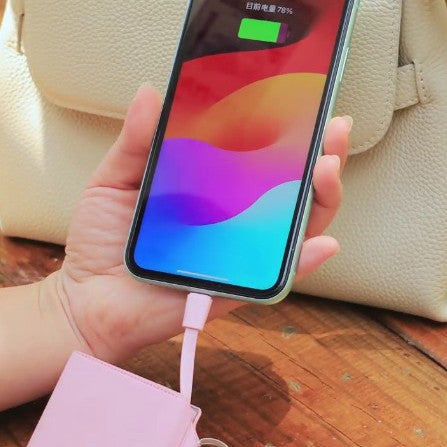 Mini Powerbank mit Dual-Kabel