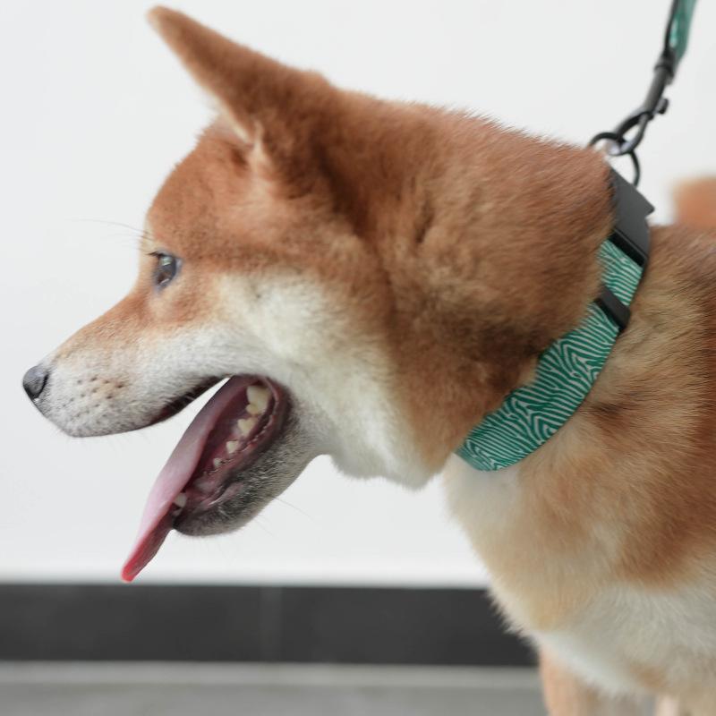 Hundehalsband und Leine mit Zebramuster – Bild 3 | LuxeStyle