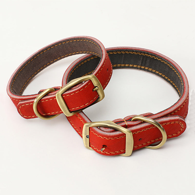 Leder-Leinen-Set für Hunde | LuxeStyle