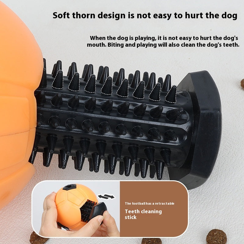 Zahnpflege-Spielball für Hunde