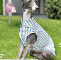 Baumwoll-Shirt für Hunde – Bild 4 | LuxeStyle