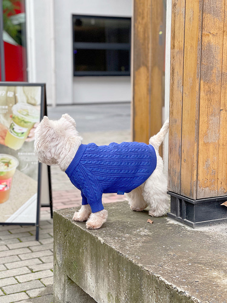 Bichon Corgi Winterpullover Blau – Bild 10 | LuxeStyle
