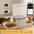Futterautomat mit Kamera für Katzen, 6L