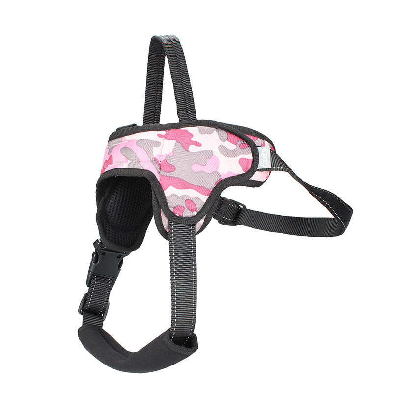 Hundeleine für Mittel- und Grosse Hunde | LuxeStyle
