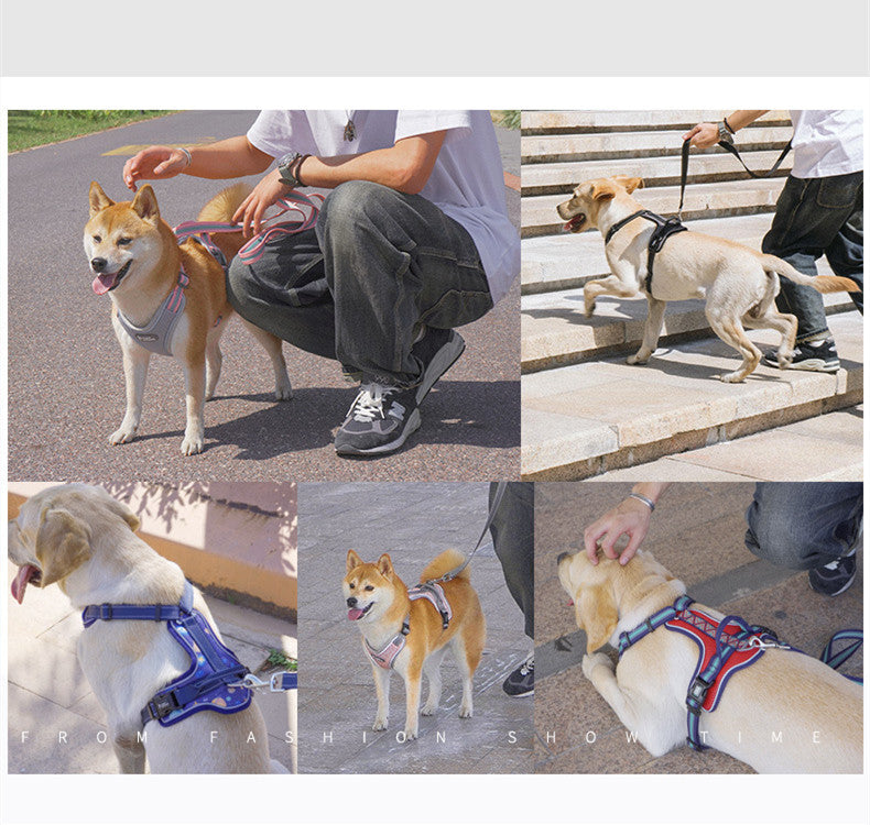 Hundegeschirr im Westen-Stil – Bild 7 | LuxeStyle