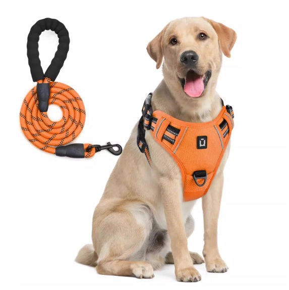 Hundegeschirr & Leine mit Ausbruchschutz – Bild 7 | LuxeStyle