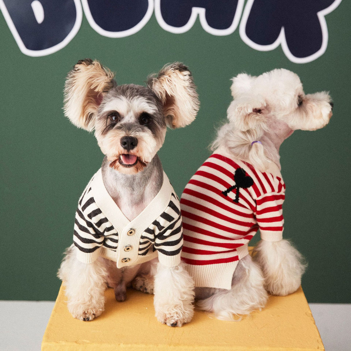 Gestreifter Hundepullover für kleine Hunde – Bild 5 | LuxeStyle
