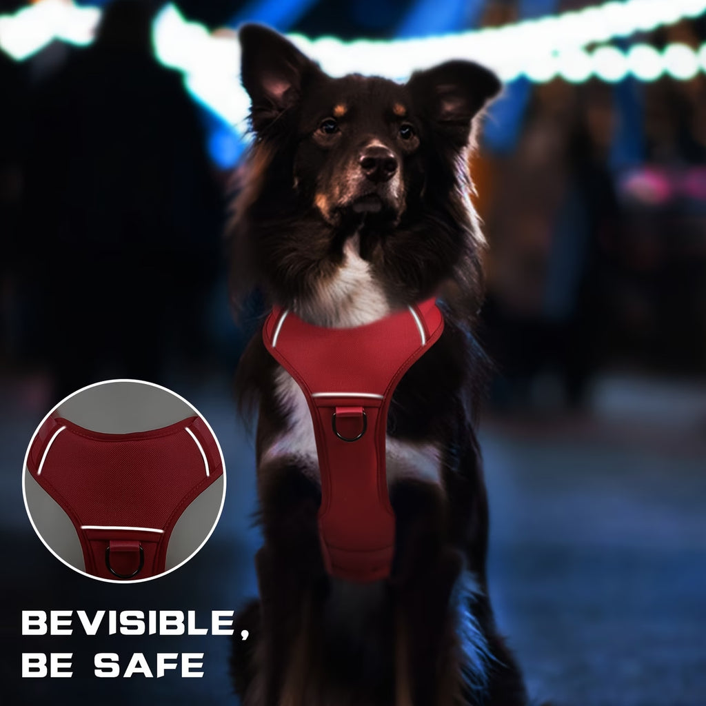 Hundegeschirr und Leine – Bild 3 | LuxeStyle
