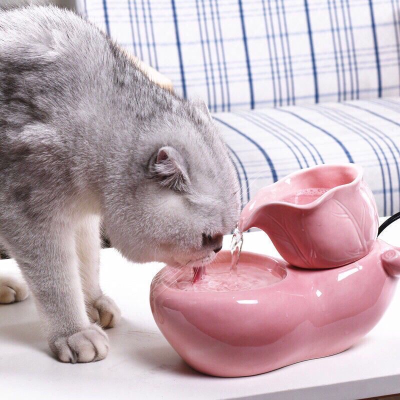 Keramischer automatischer Wasserspender für Katze – Bild 3 | LuxeStyle