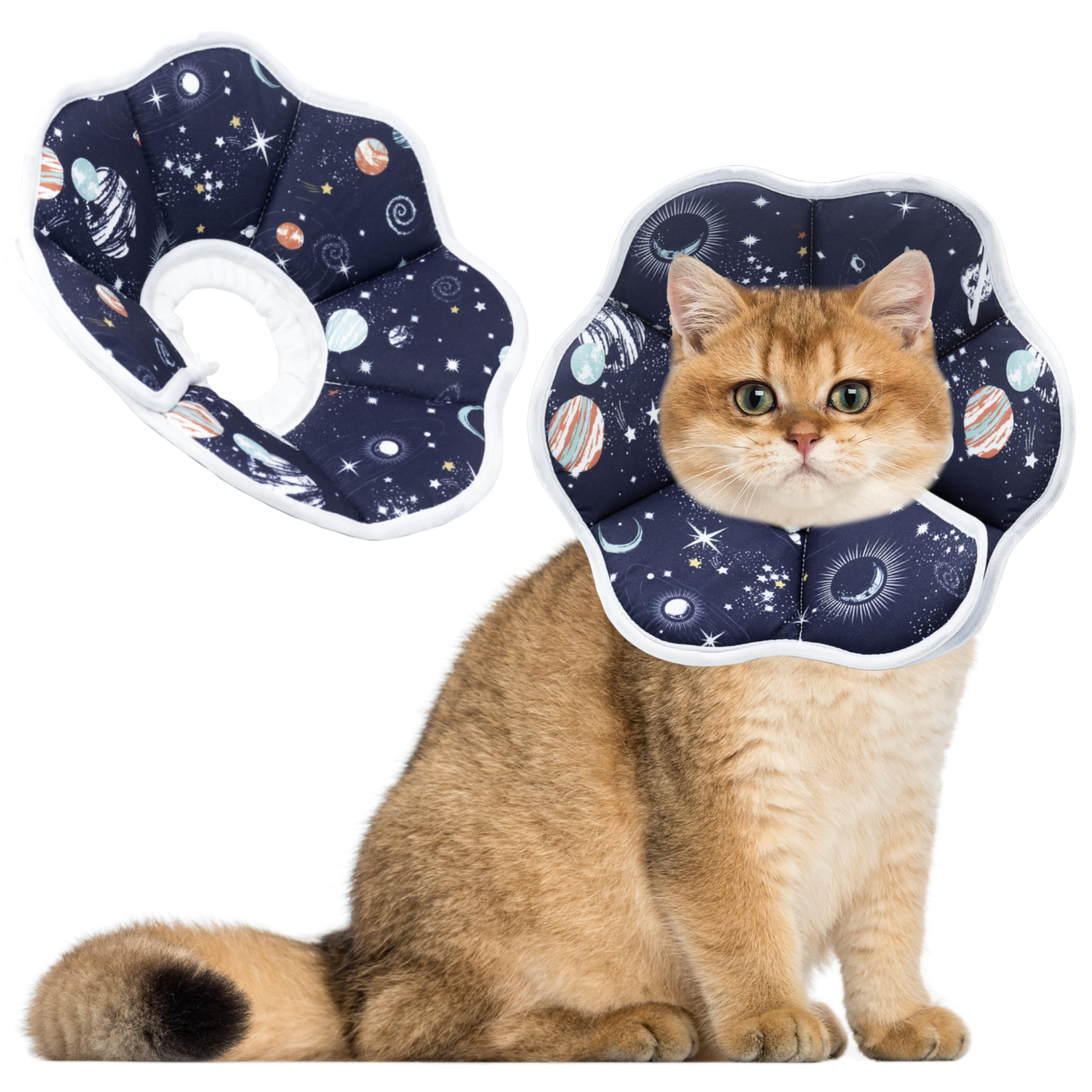 Weicher Halskragen für Katzen & Welpen
