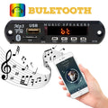 Bluetooth MP3 Decoder & FM Radio Modul | LuxeStyle