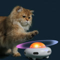 Intelligentes elektronisches Katzenspielzeug