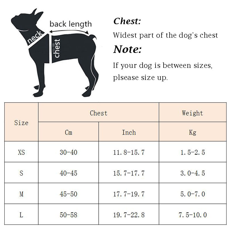 Hunde-Zugweste – Bild 7 | LuxeStyle