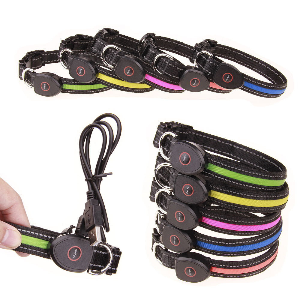 Hundeleuchthalsband